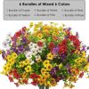 Hot Sale 50 Offrealistic Uv-resistant Outdoor Flowers Zero Maintenance